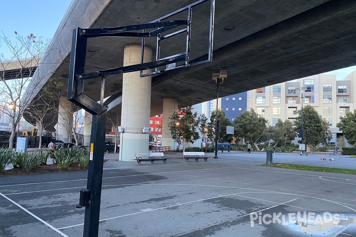 Photo of Pickleball at Mission Bay